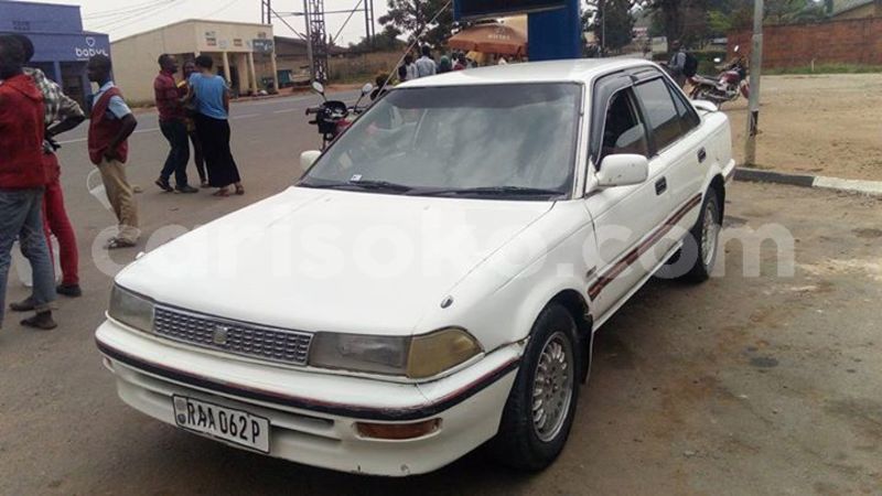 Big with watermark 30623955 578122035882356 6857030771144654848 n