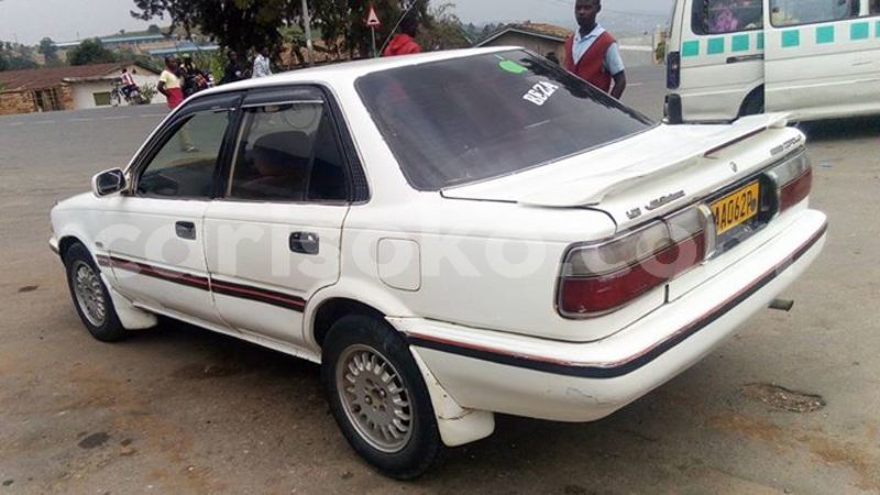 Big with watermark 30629329 194112211393369 244064733525704704 n