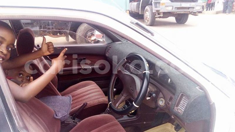 Big with watermark 30705011 1080215435450894 1812932972978896896 n