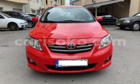 Buy Used Toyota Corolla Red Car in Kigali in Rwanda Buy Used Toyota Corolla Red Car in Kigali in Rwanda