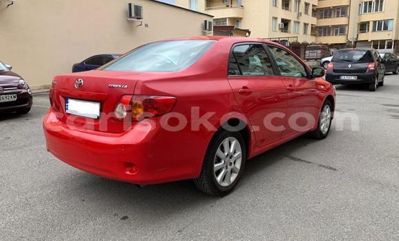 Buy Used Toyota Corolla Red Car in Kigali in Rwanda Buy Used Toyota Corolla Red Car in Kigali in Rwanda