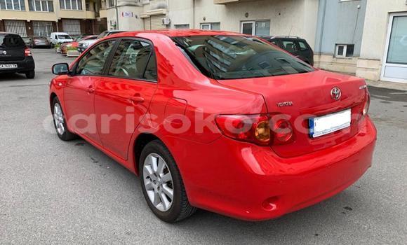 Buy Used Toyota Corolla Red Car in Kigali in Rwanda Buy Used Toyota Corolla Red Car in Kigali in Rwanda