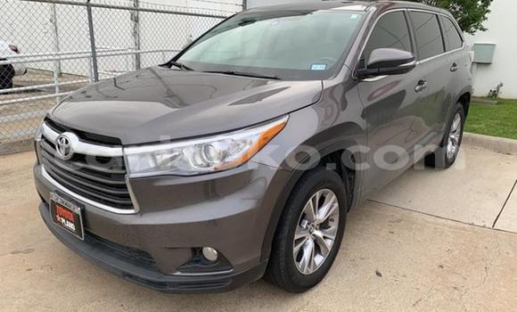 Buy Import Toyota Highlander Brown Car in Kigali in Rwanda Buy Import Toyota Highlander Brown Car in Kigali in Rwanda