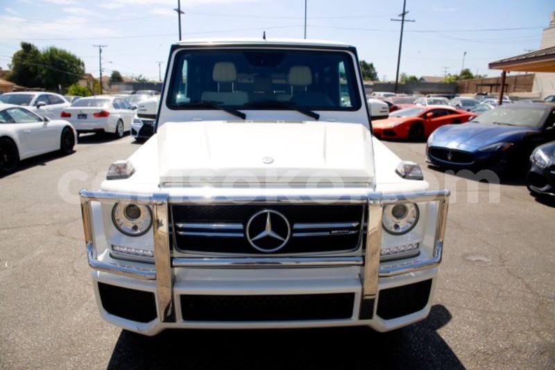 Big with watermark 2314837592