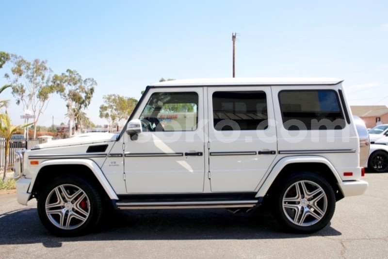 Big with watermark 2314837670