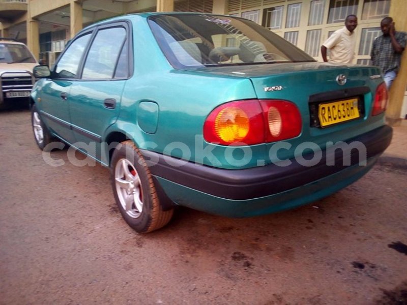 Big with watermark 30623955 578122035882356 6857030771144654848 n