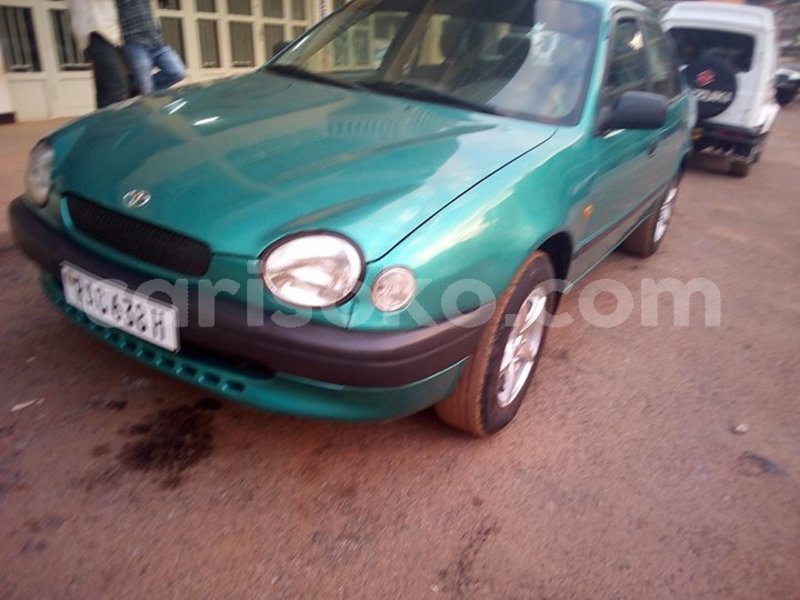 Big with watermark 30629329 194112211393369 244064733525704704 n