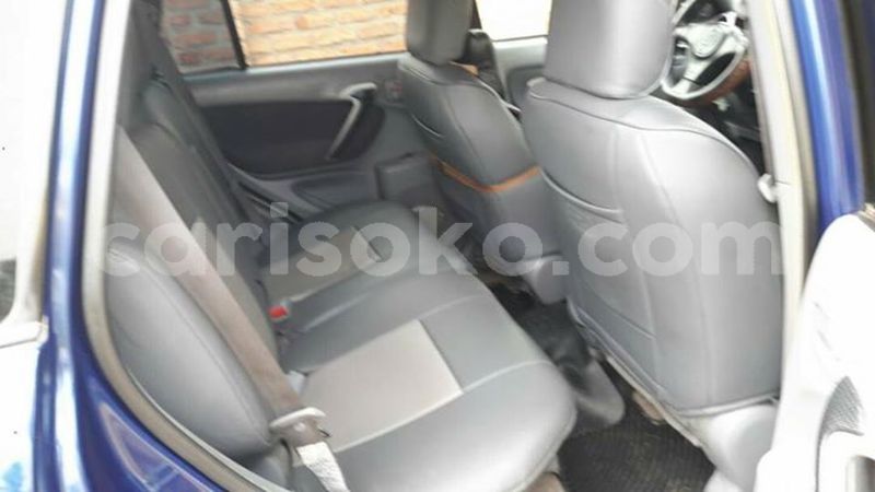 Big with watermark 30629329 194112211393369 244064733525704704 n