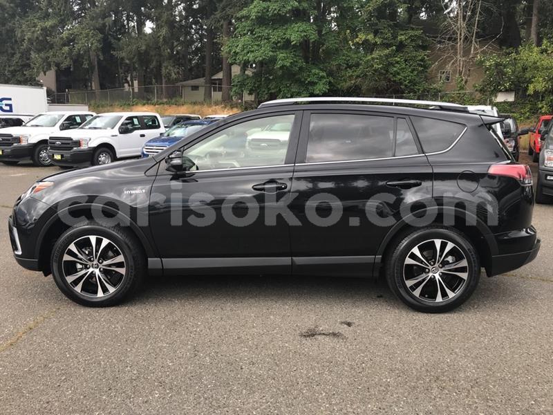 Big with watermark p1