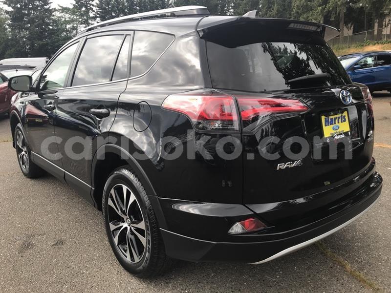 Big with watermark p2