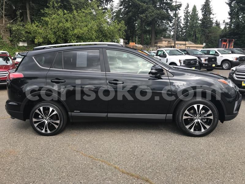 Big with watermark p5