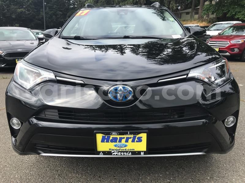 Big with watermark p7