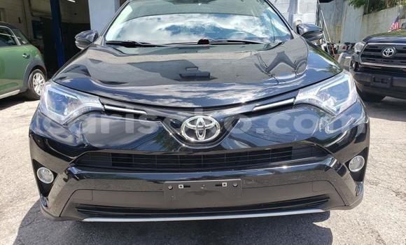 Buy Used Toyota RAV4 Black Car in Kigali in Rwanda Buy Used Toyota RAV4 Black Car in Kigali in Rwanda