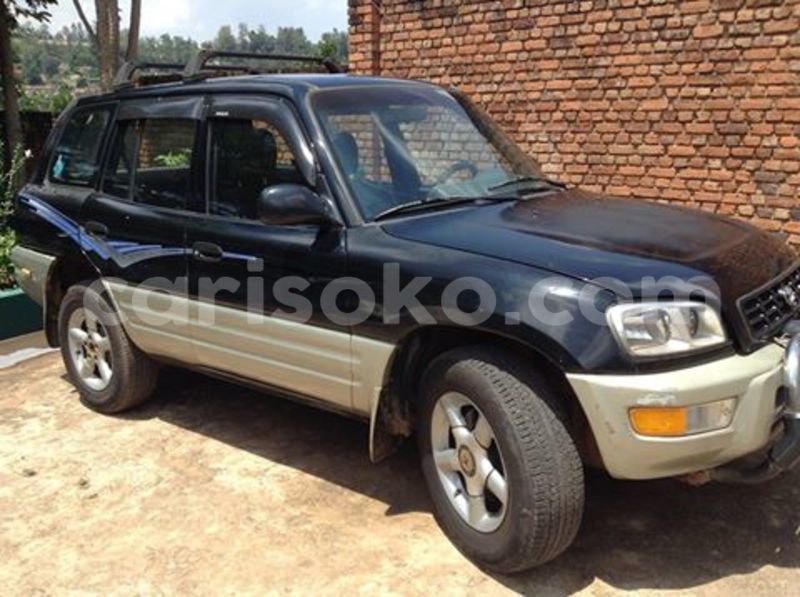 Big with watermark hjh