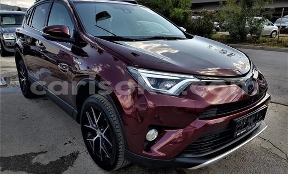 Buy Used Toyota RAV4 Other Car in Kigali in Rwanda Buy Used Toyota RAV4 Other Car in Kigali in Rwanda