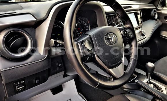 Buy Used Toyota RAV4 Other Car in Kigali in Rwanda Buy Used Toyota RAV4 Other Car in Kigali in Rwanda
