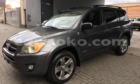 Buy Used Toyota RAV4 Beige Car in Kigali in Rwanda Buy Used Toyota RAV4 Beige Car in Kigali in Rwanda