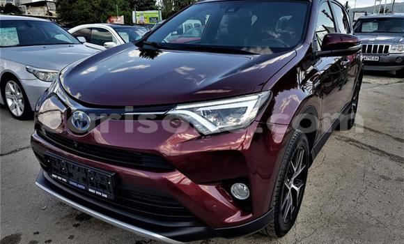 Buy Used Toyota RAV4 Other Car in Kigali in Rwanda Buy Used Toyota RAV4 Other Car in Kigali in Rwanda