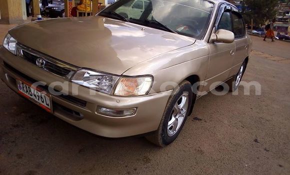 Acheter Occasion Voiture Toyota Corolla Autre à Kigali, Rwanda Acheter Occasion Voiture Toyota Corolla Autre à Kigali, Rwanda