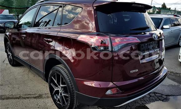 Buy Used Toyota RAV4 Other Car in Kigali in Rwanda Buy Used Toyota RAV4 Other Car in Kigali in Rwanda