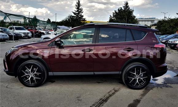 Buy Used Toyota RAV4 Other Car in Kigali in Rwanda Buy Used Toyota RAV4 Other Car in Kigali in Rwanda