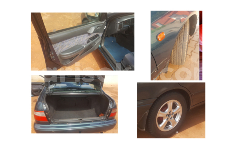 Big with watermark ca3