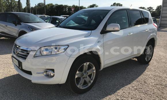 Buy Used Toyota RAV4 White Car in Kigali in Rwanda Buy Used Toyota RAV4 White Car in Kigali in Rwanda