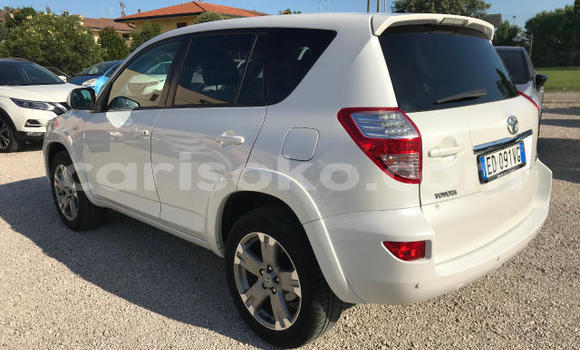 Buy Used Toyota RAV4 White Car in Kigali in Rwanda Buy Used Toyota RAV4 White Car in Kigali in Rwanda