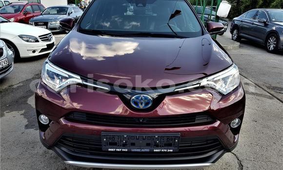 Buy Used Toyota RAV4 Other Car in Kigali in Rwanda Buy Used Toyota RAV4 Other Car in Kigali in Rwanda