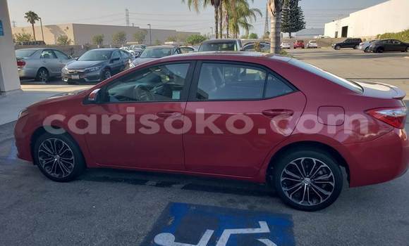 Buy Used Toyota Corolla Red Car in Kigali in Rwanda Buy Used Toyota Corolla Red Car in Kigali in Rwanda