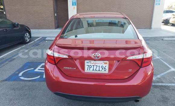 Buy Used Toyota Corolla Red Car in Kigali in Rwanda Buy Used Toyota Corolla Red Car in Kigali in Rwanda