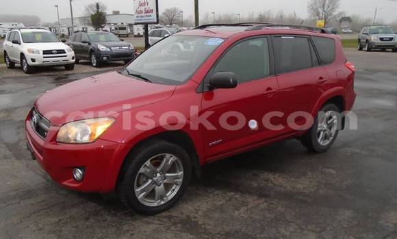 Buy Import Toyota RAV4 Red Car in Kigali in Rwanda Buy Import Toyota RAV4 Red Car in Kigali in Rwanda