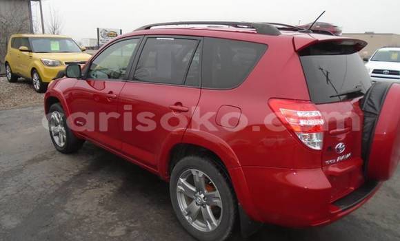 Buy Import Toyota RAV4 Red Car in Kigali in Rwanda Buy Import Toyota RAV4 Red Car in Kigali in Rwanda
