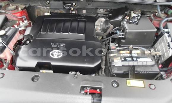 Buy Import Toyota RAV4 Red Car in Kigali in Rwanda Buy Import Toyota RAV4 Red Car in Kigali in Rwanda