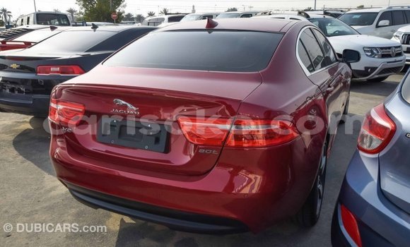 Acheter Import Voiture Jaguar XE Rouge à Import - Dubai, Rwanda Acheter Import Voiture Jaguar XE Rouge à Import - Dubai, Rwanda