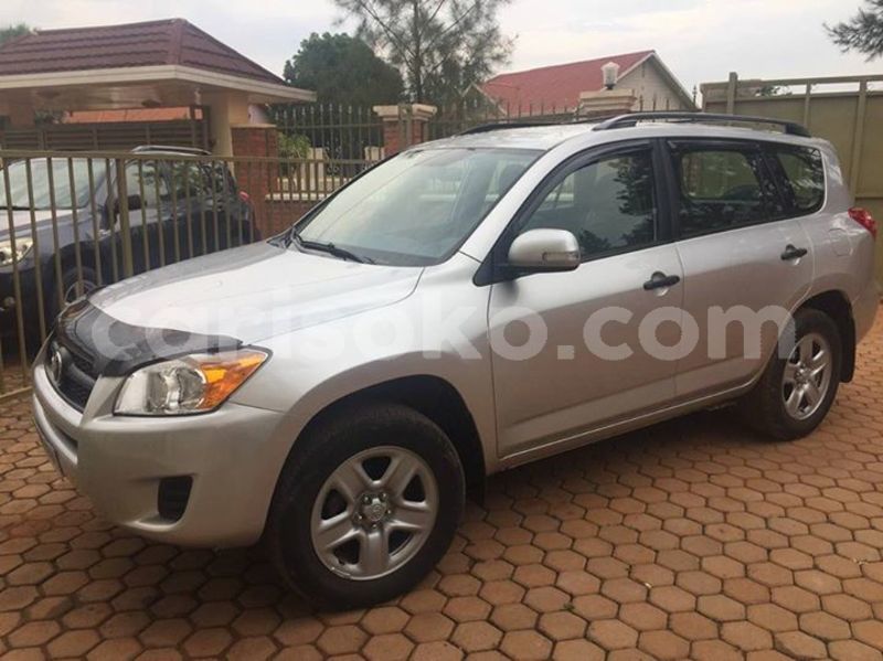 Big with watermark 30629329 194112211393369 244064733525704704 n