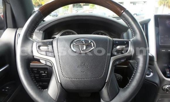 Buy Used Toyota Corolla Black Car in Kigali in Rwanda Buy Used Toyota Corolla Black Car in Kigali in Rwanda