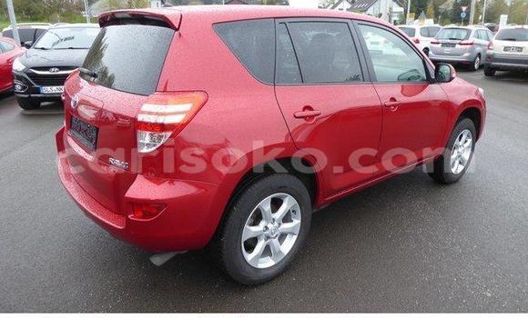 Buy Used Toyota RAV4 Red Car in Kigali in Rwanda Buy Used Toyota RAV4 Red Car in Kigali in Rwanda