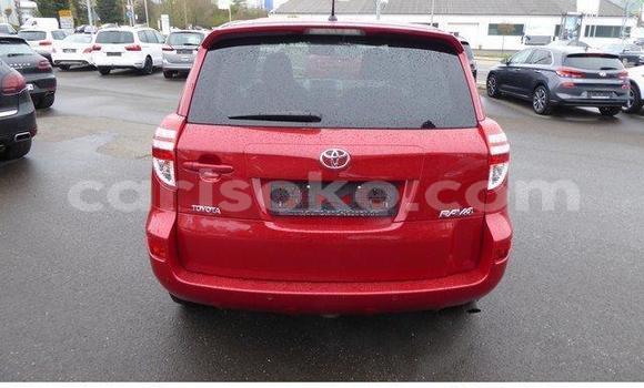 Buy Used Toyota RAV4 Red Car in Kigali in Rwanda Buy Used Toyota RAV4 Red Car in Kigali in Rwanda