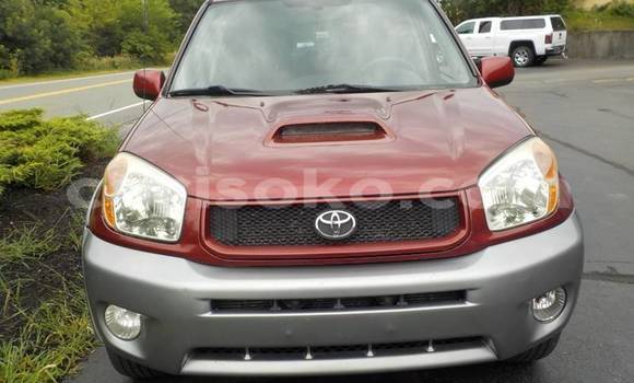 Buy Used Toyota RAV4 Red Car in Kigali in Rwanda Buy Used Toyota RAV4 Red Car in Kigali in Rwanda
