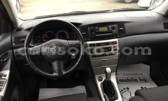 Buy Used Toyota Corolla Other Car in Kigali in Rwanda Buy Used Toyota Corolla Other Car in Kigali in Rwanda