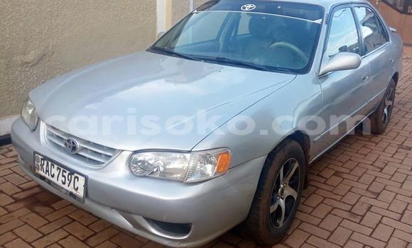 Acheter Occasion Voiture Toyota Corolla Gris à Kigali, Rwanda Acheter Occasion Voiture Toyota Corolla Gris à Kigali, Rwanda