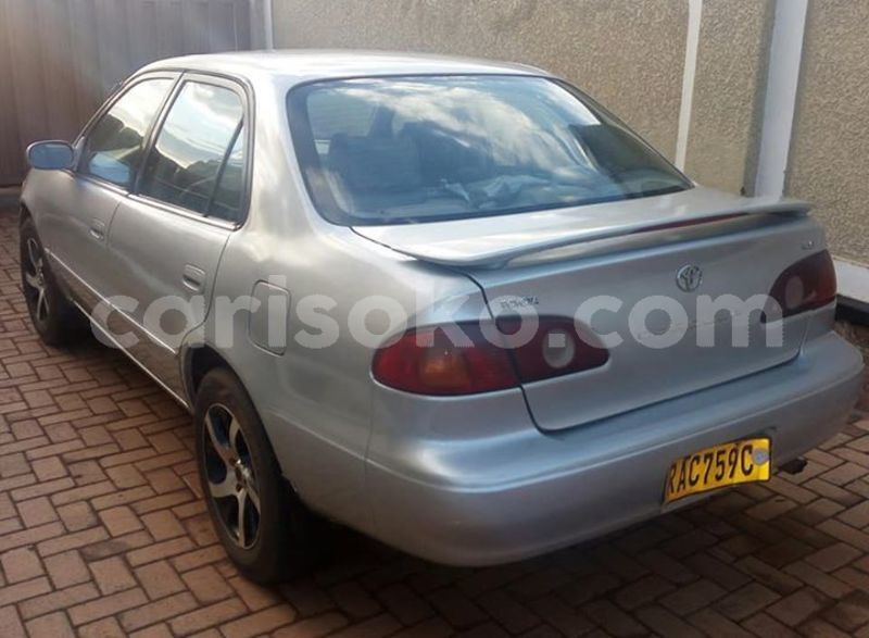 Big with watermark 30713367 2109701875916457 3681336901257956076 n