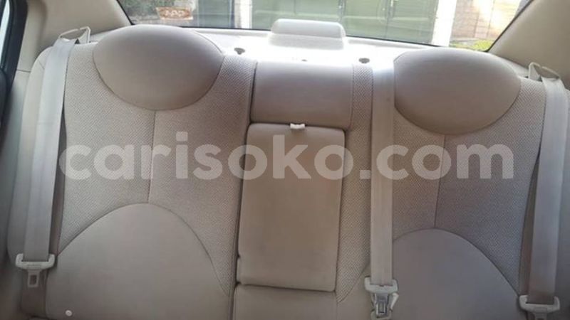 Big with watermark 30713367 2109701875916457 3681336901257956076 n