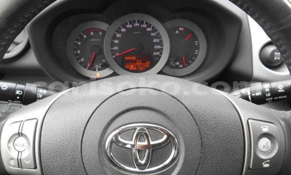 Buy Used Toyota RAV4 Black Car in Kigali in Rwanda Buy Used Toyota RAV4 Black Car in Kigali in Rwanda