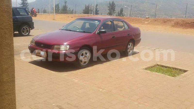 Big with watermark 30629329 194112211393369 244064733525704704 n