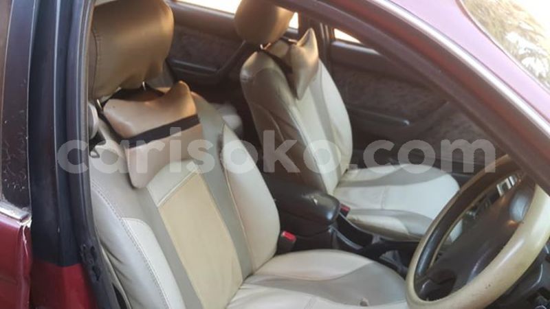 Big with watermark 30713367 2109701875916457 3681336901257956076 n