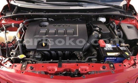 Buy Used Toyota Corolla Red Car in Kigali in Rwanda Buy Used Toyota Corolla Red Car in Kigali in Rwanda