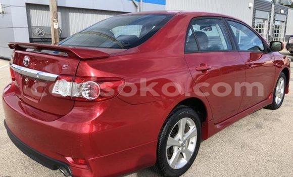 Buy Used Toyota Corolla Red Car in Kigali in Rwanda Buy Used Toyota Corolla Red Car in Kigali in Rwanda