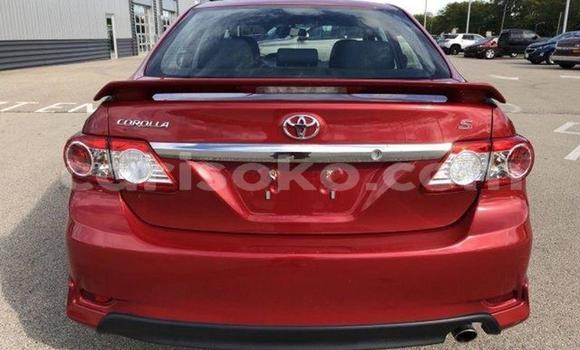 Buy Used Toyota Corolla Red Car in Kigali in Rwanda Buy Used Toyota Corolla Red Car in Kigali in Rwanda